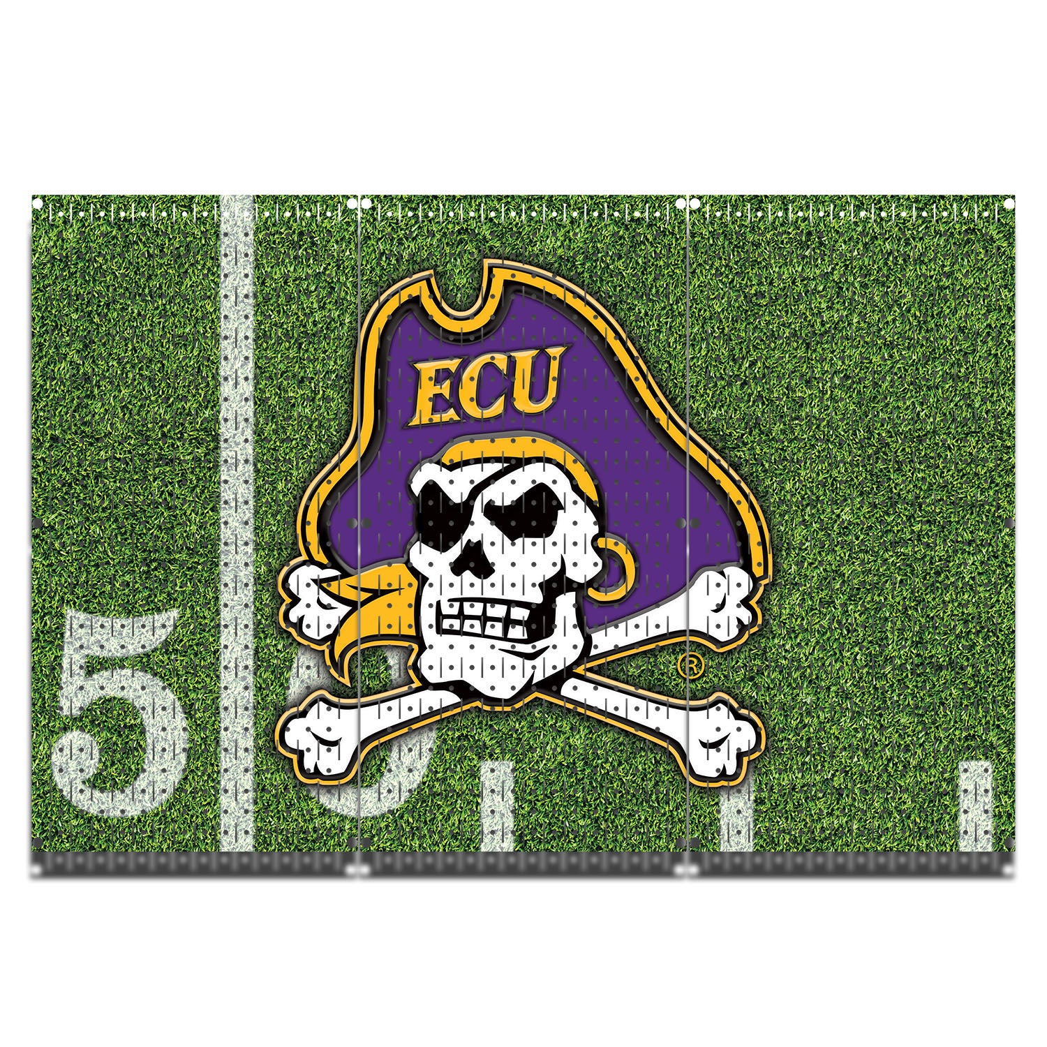 HWC13088 ECU East Carolina University Football (3 Panels) 48" x 32